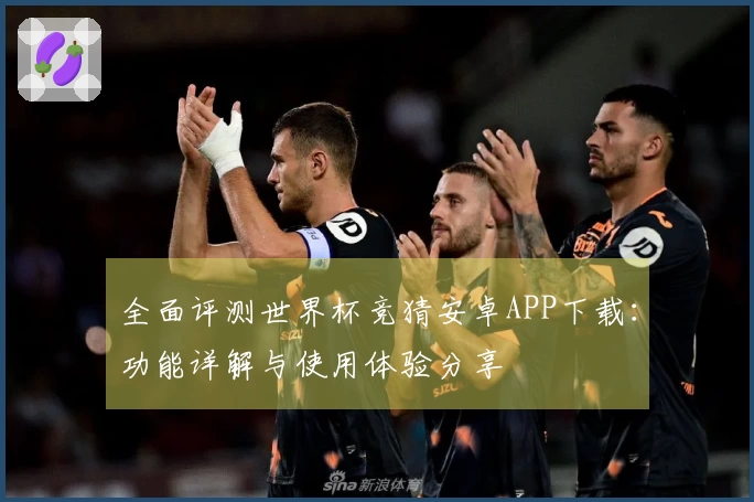 全面评测世界杯竞猜安卓APP下载：功能详解与使用体验分享