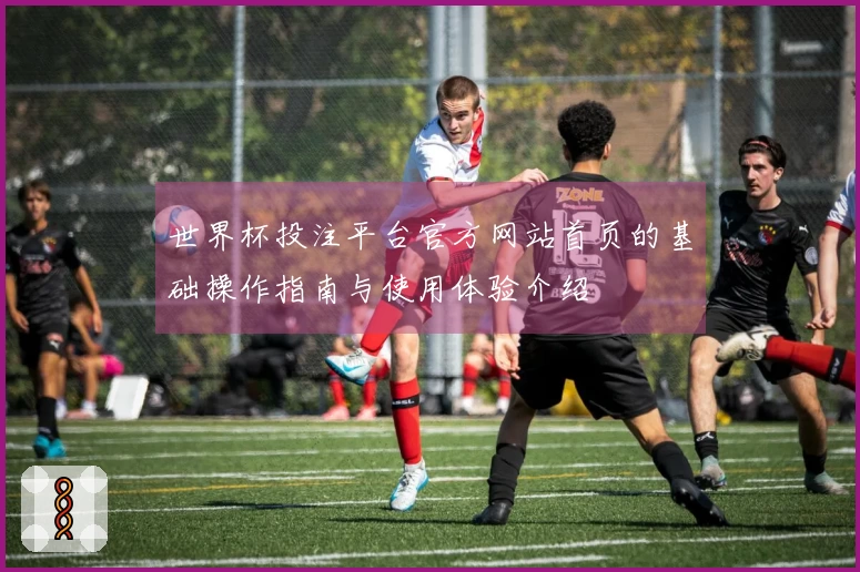 世界杯投注平台官方网站首页的基础操作指南与使用体验介绍