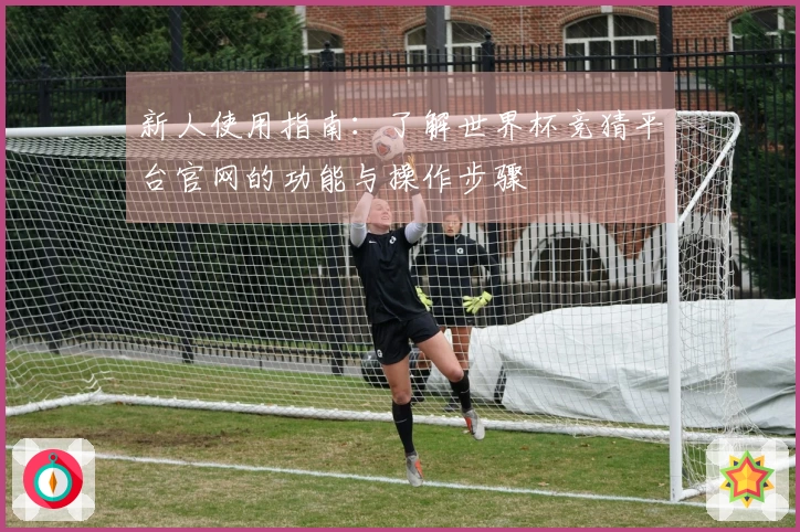 新人使用指南:了解世界杯竞猜平台官网的功能与操作步骤