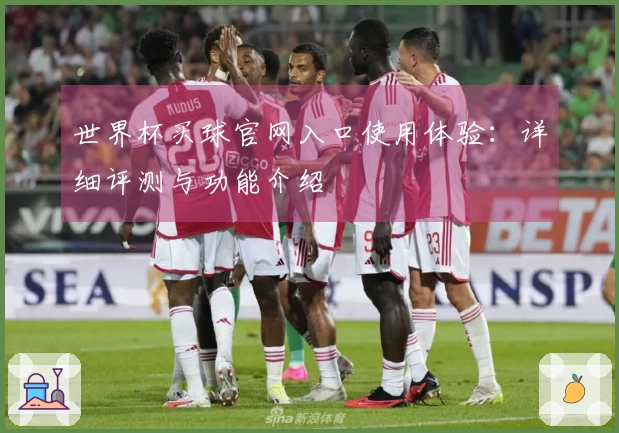 世界杯买球官网入口使用体验:详细评测与功能介绍